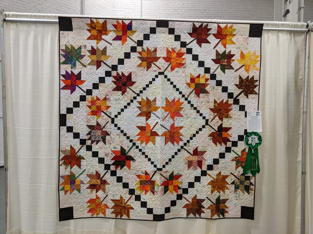 quilt on display at 2022 QGI show made with blocks similar to this assignment